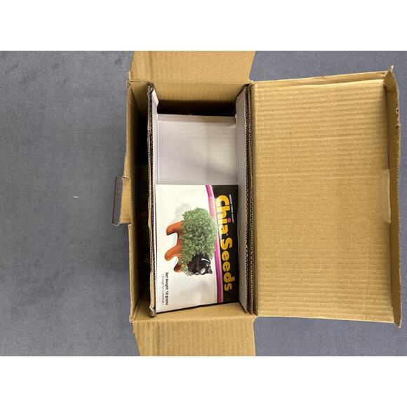 Richard Simmons Chia Pet Planter Complete in Box NEW - Picture 5 of 6